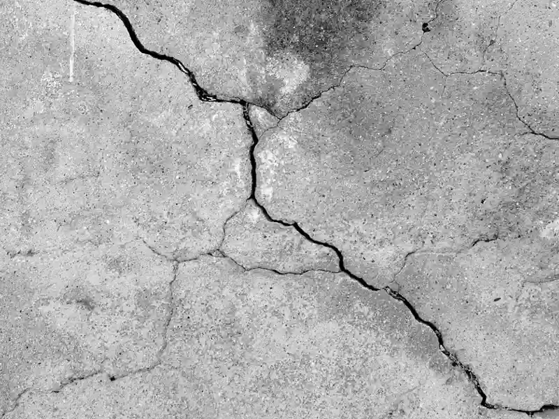Close up of cracks in pavement.
