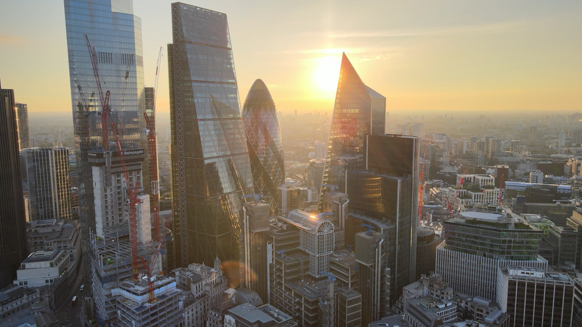 Executive career transitions