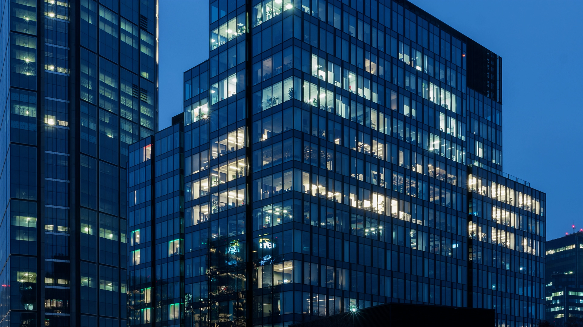 Executive career transitions