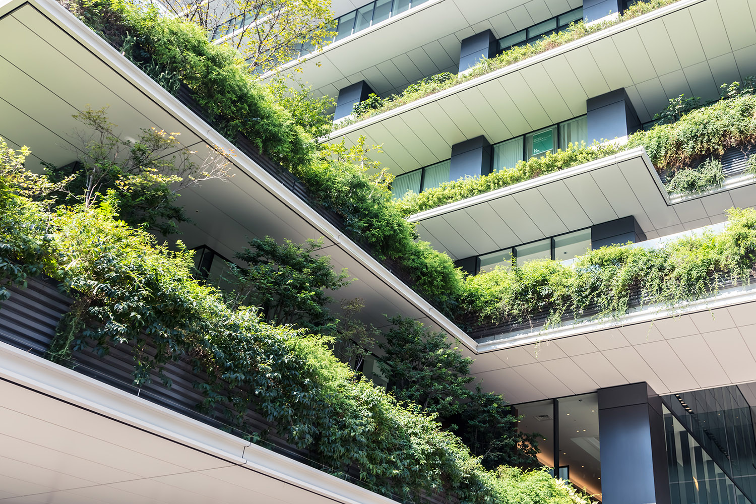 Building with plants on balconies