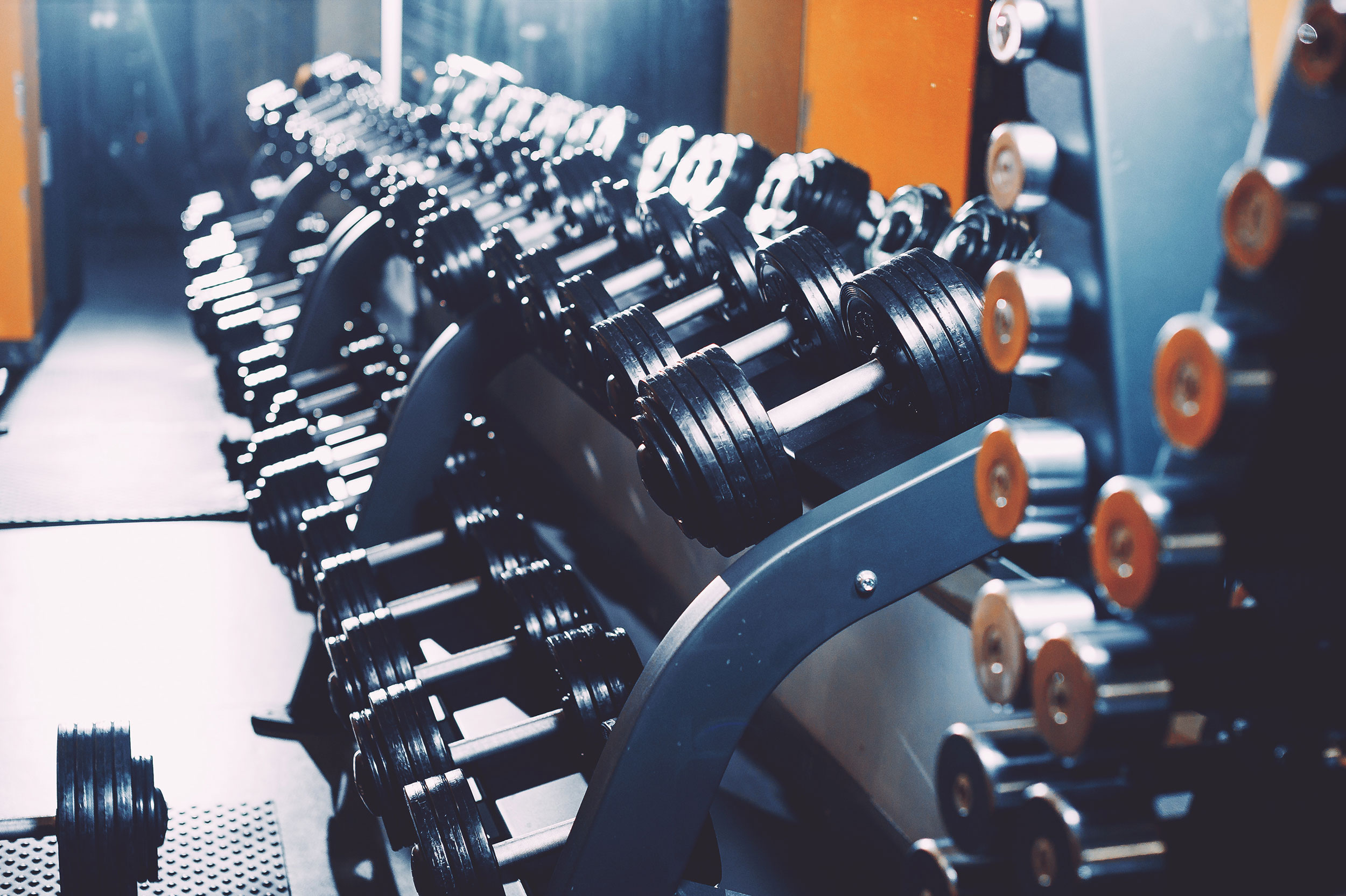 Sets of barbells on a rack